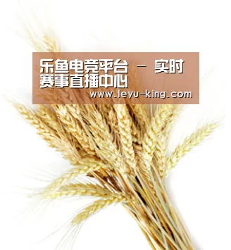 乐鱼电竞平台 - 实时赛事直播中心