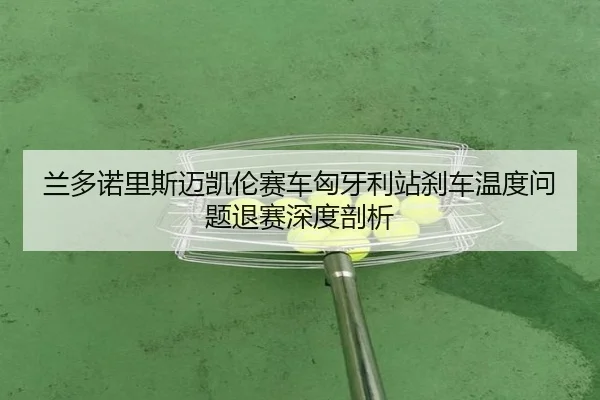 lan-duo-nuo-li-si-mai-kai-lun-sai-che-xiong-ya-li-zhan-sha-che-wen-du-wen-ti-tui-sai-shen-du-pou-xi-3-171.jpg