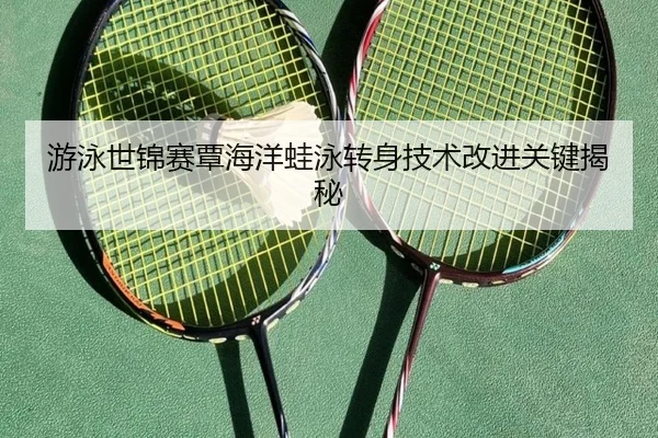 you-yong-shi-jin-sai-tan-hai-yang-wa-yong-zhuan-shen-ji-shu-gai-jin-guan-jian-jie-mi-3-712.jpg