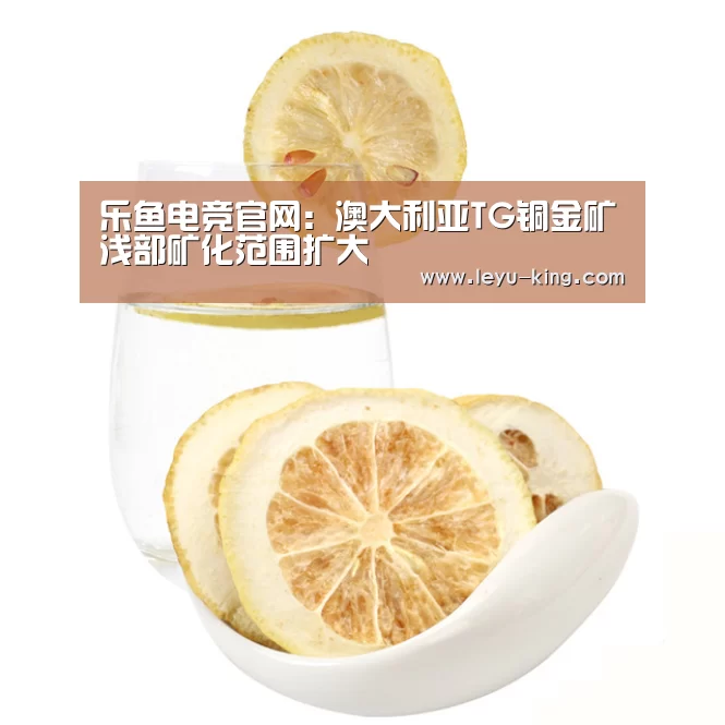 乐鱼电竞官网:澳大利亚TG铜金矿浅部矿化范围扩大(图3) 乐鱼电竞官网